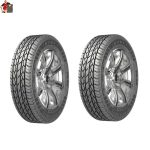 لاستیک بارز سایز 205/60/15 گل P610-دو حلقه