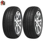 لاستیک مینروا سایز245/40/18 گل F205- دوحلقه